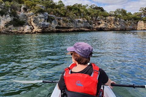 Cliffs And Caves Kayak Tour In Swan River - Hotel WA 1