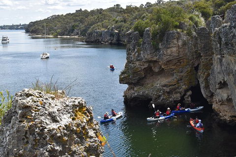 Cliffs And Caves Kayak Tour In Swan River - Hotel WA 2