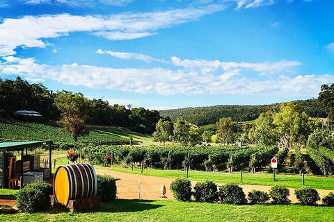 Bickley Valley Wine & Cider Tour - Premium Small Group Tour - Hotel WA 0