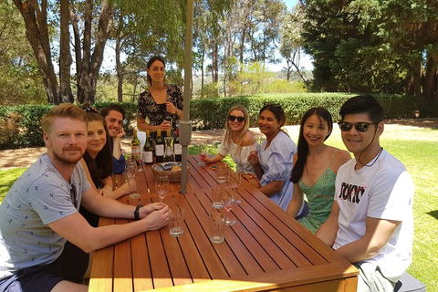Full-Day Gourmet Wine Tour With Pick Up And Lunch - Hotel WA 5