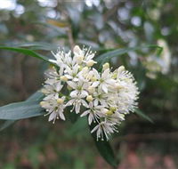 Booderee National Park - Hotel WA