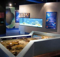 Marine and Freshwater Discovery Centre - Hotel WA
