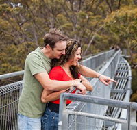 Valley of the Giants Tree Top Walk - Hotel WA