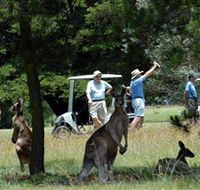 Glen Innes Golf Club - Hotel WA