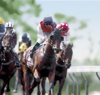 Colac Turf Club - Hotel WA