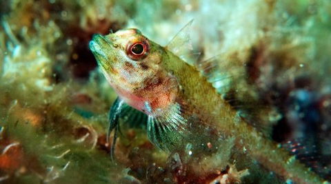 Busselton Jetty & Underwater Observatory Tour - Hotel WA 7