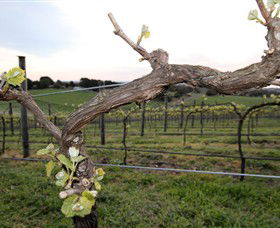 Nalbra Estate Wines - Hotel WA 0