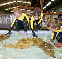 Australian Shark and Ray Centre - Hotel WA