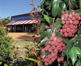 Bushfood Factory And Cafe - Hotel WA 0