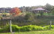 Banksia Farm Enterprises - thumb 0