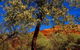 Mt Romance Australia Pty Ltd - thumb 0