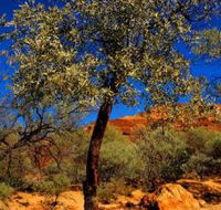 Mt Romance Australia Pty Ltd - Hotel WA