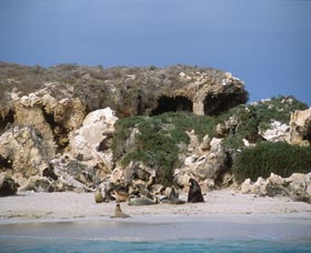 Jurien Bay WA Hotel WA