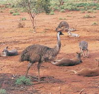 Hammond Park - Hotel WA