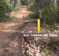 Old Timberline and Sidings Rail Trails - Hotel WA
