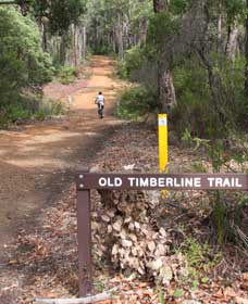 Old Timberline And Sidings Rail Trails - Hotel WA 0