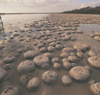 Lake Clifton Thrombolites - Hotel WA
