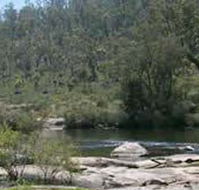 Wellington Discovery Forest - Hotel WA