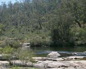 Wellington Discovery Forest - Hotel WA 0