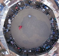 Two-Up School - Hotel WA