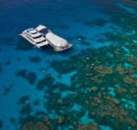 Great Adventures Reef and Green Island Cruises - Hotel WA