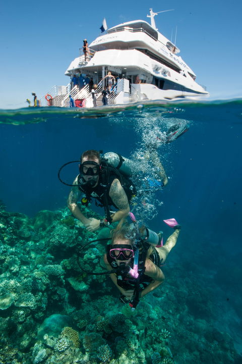 Down Under Cruise And Dive - Hotel WA 0