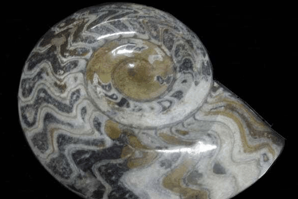 Ashworths - Hotel WA 2