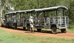 Whitsunday Crocodile Safari - Hotel WA 2