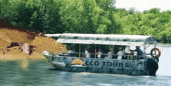 Whitsunday Crocodile Safari - Hotel WA 3
