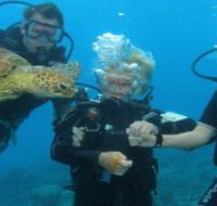 Yardarm Pty Ltd t/a Passions of Paradise - Hotel WA