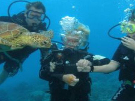 Yardarm Pty Ltd T/a Passions Of Paradise - Hotel WA 0