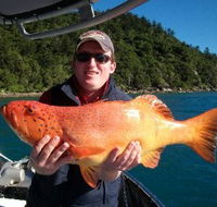 Gone Fishing by Coral Sea Fishing Charters Airlie Beach - Hotel WA