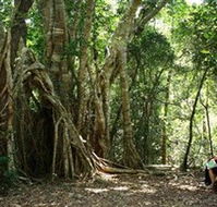 The Airlie Creek Track - Hotel WA