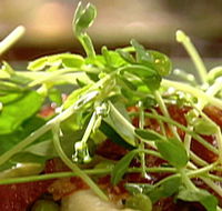 Wild Hearts Cafe Restaurant - Hotel WA