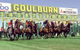 Goulburn And District Racing Club - thumb 0