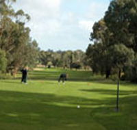 Mount Gambier Golf Club
