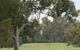 Tocumwal Golf Club - thumb 2