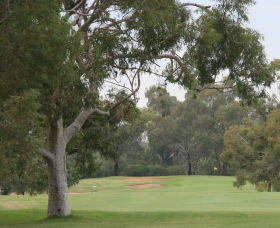 Tocumwal Golf Club - Hotel WA 2
