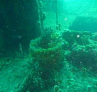 Wallaroo Scuba Club - Hotel WA