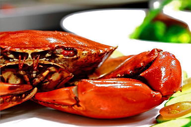 Newquay International Buffet - Hotel WA 0