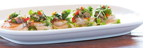 La Repubblica - Hotel WA 0