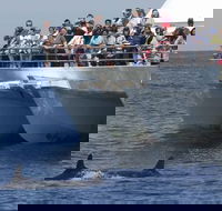 MoonshadowTQC Cruises - Hotel WA