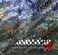 Antica Australis - Winter Fire Festival