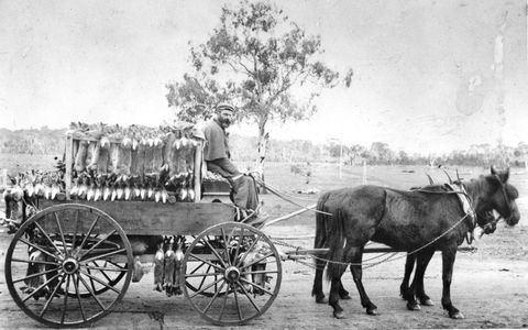 A Tale Of Two Villages - An Exhibition - Hotel WA 1