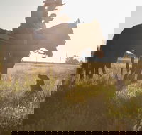 Balonne Cutting Horse Futurity - Hotel WA