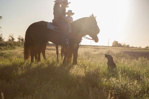 Balonne Cutting Horse Futurity - Hotel WA 0