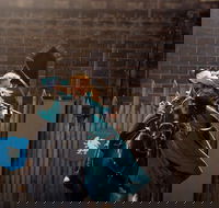 Baroque Horse Festival - Hotel WA