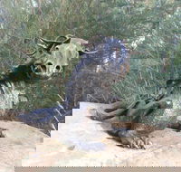 Bathurst Arts Trail - Hotel WA