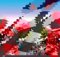 Blacktown Christmas Light Up Concert - Hotel WA