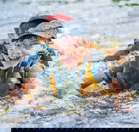 Cave Hill Creek Summer Camp - Hotel WA